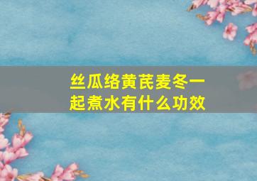 丝瓜络黄芪麦冬一起煮水有什么功效