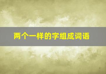 两个一样的字组成词语