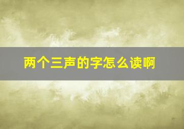 两个三声的字怎么读啊