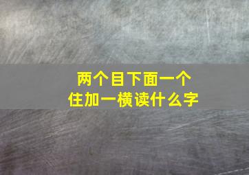 两个目下面一个住加一横读什么字