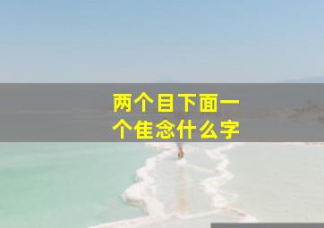 两个目下面一个隹念什么字