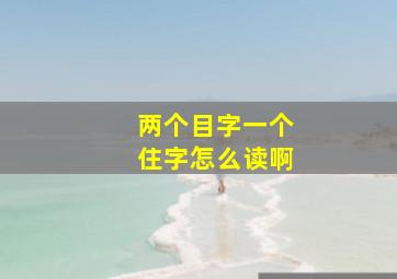 两个目字一个住字怎么读啊