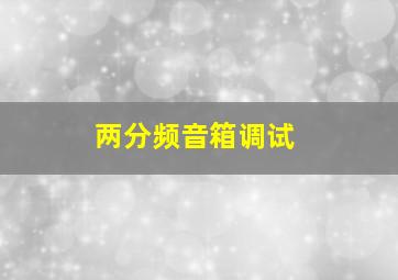 两分频音箱调试