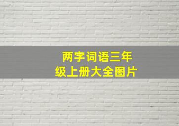 两字词语三年级上册大全图片