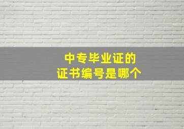 中专毕业证的证书编号是哪个