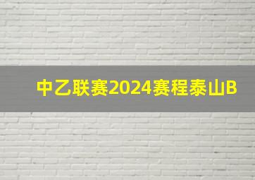 中乙联赛2024赛程泰山B