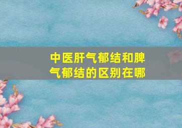 中医肝气郁结和脾气郁结的区别在哪