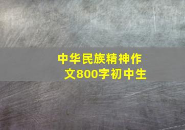 中华民族精神作文800字初中生