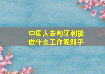 中国人去匈牙利能做什么工作呢知乎