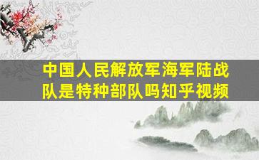 中国人民解放军海军陆战队是特种部队吗知乎视频