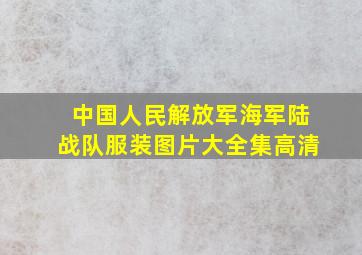 中国人民解放军海军陆战队服装图片大全集高清