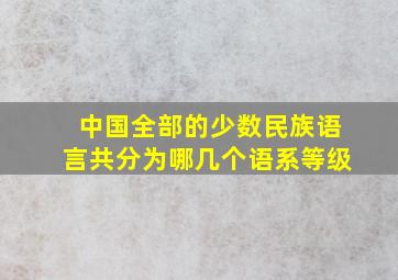 中国全部的少数民族语言共分为哪几个语系等级