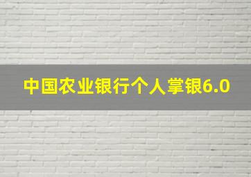 中国农业银行个人掌银6.0