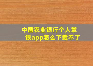 中国农业银行个人掌银app怎么下载不了