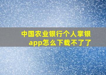 中国农业银行个人掌银app怎么下载不了了