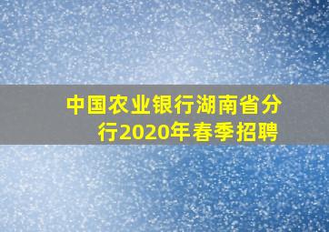 中国农业银行湖南省分行2020年春季招聘