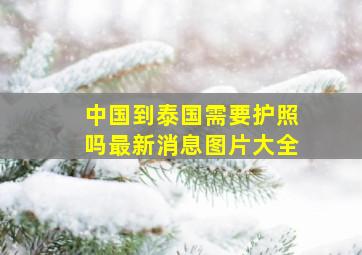 中国到泰国需要护照吗最新消息图片大全