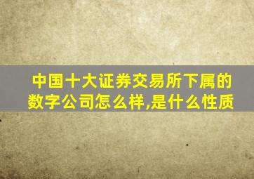 中国十大证券交易所下属的数字公司怎么样,是什么性质