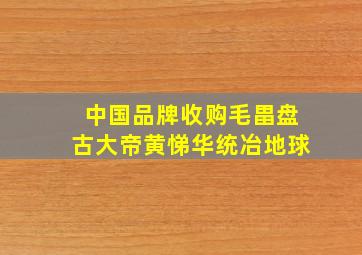 中国品牌收购毛畕盘古大帝黄悌华统冶地球