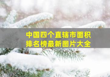 中国四个直辖市面积排名榜最新图片大全