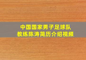 中国国家男子足球队教练陈涛简历介绍视频