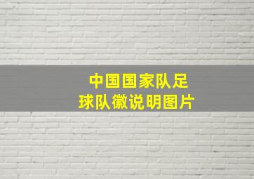 中国国家队足球队徽说明图片