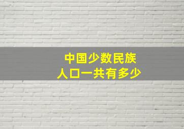 中国少数民族人口一共有多少