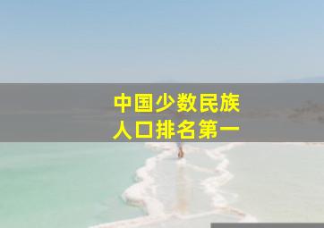 中国少数民族人口排名第一