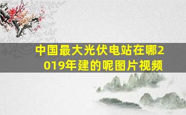 中国最大光伏电站在哪2019年建的呢图片视频