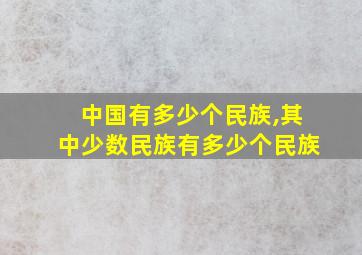 中国有多少个民族,其中少数民族有多少个民族