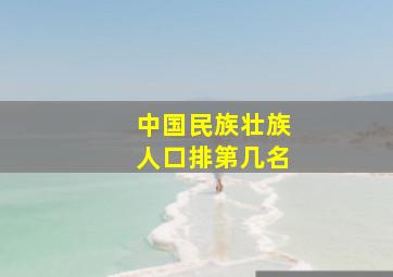 中国民族壮族人口排第几名