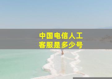 中国电信人工客服是多少号