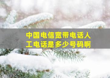 中国电信宽带电话人工电话是多少号码啊