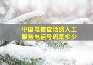 中国电信查话费人工服务电话号码是多少