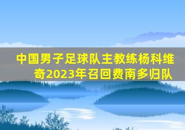 中国男子足球队主教练杨科维奇2023年召回费南多归队