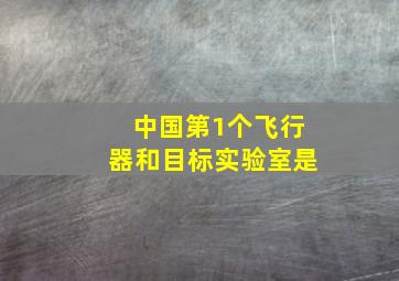 中国第1个飞行器和目标实验室是