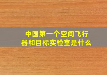 中国第一个空间飞行器和目标实验室是什么