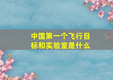 中国第一个飞行目标和实验室是什么