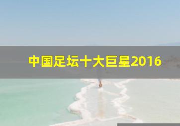 中国足坛十大巨星2016