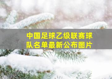 中国足球乙级联赛球队名单最新公布图片