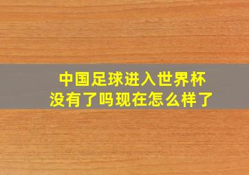 中国足球进入世界杯没有了吗现在怎么样了