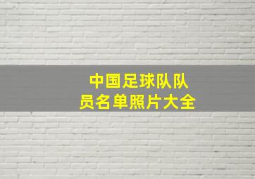 中国足球队队员名单照片大全