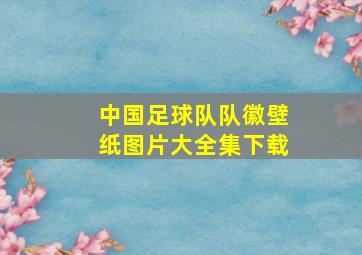 中国足球队队徽壁纸图片大全集下载