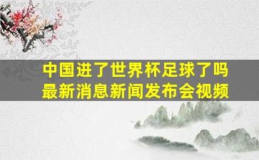 中国进了世界杯足球了吗最新消息新闻发布会视频