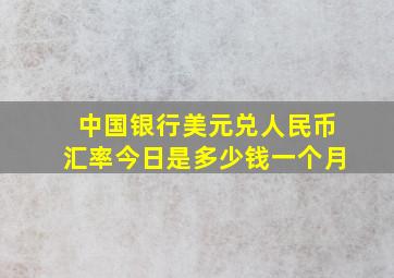 中国银行美元兑人民币汇率今日是多少钱一个月