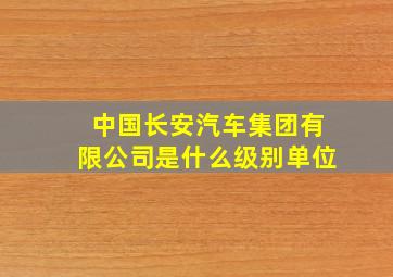 中国长安汽车集团有限公司是什么级别单位