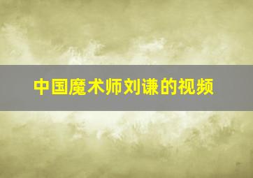 中国魔术师刘谦的视频