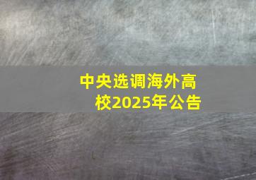 中央选调海外高校2025年公告