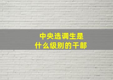 中央选调生是什么级别的干部