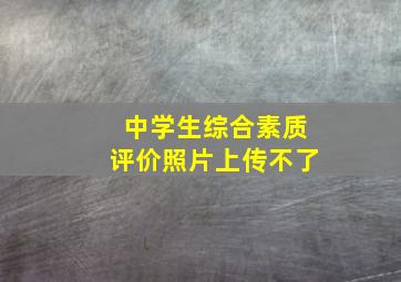 中学生综合素质评价照片上传不了